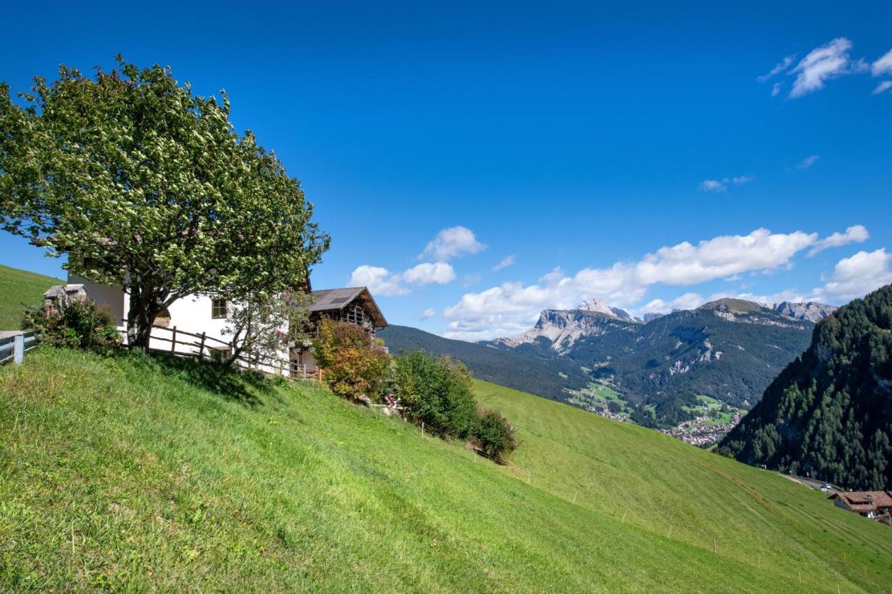 Agriturismo Apartments Tuene オルティゼーイ エクステリア 写真