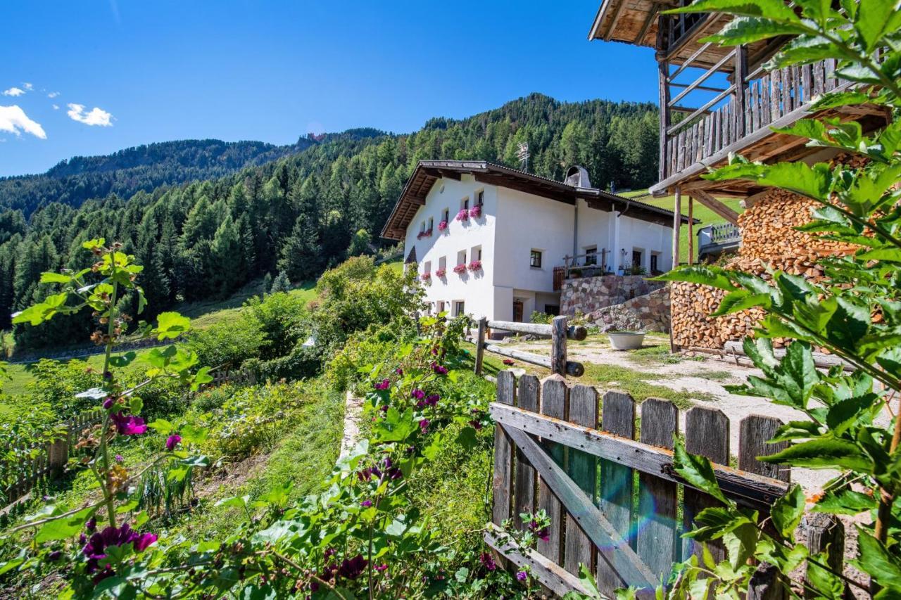 Agriturismo Apartments Tuene オルティゼーイ エクステリア 写真