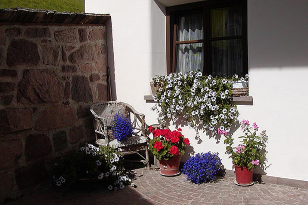 Agriturismo Apartments Tuene オルティゼーイ エクステリア 写真