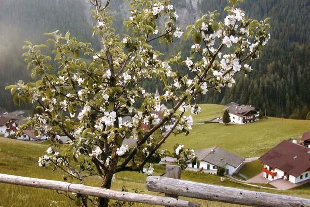 Agriturismo Apartments Tuene オルティゼーイ エクステリア 写真